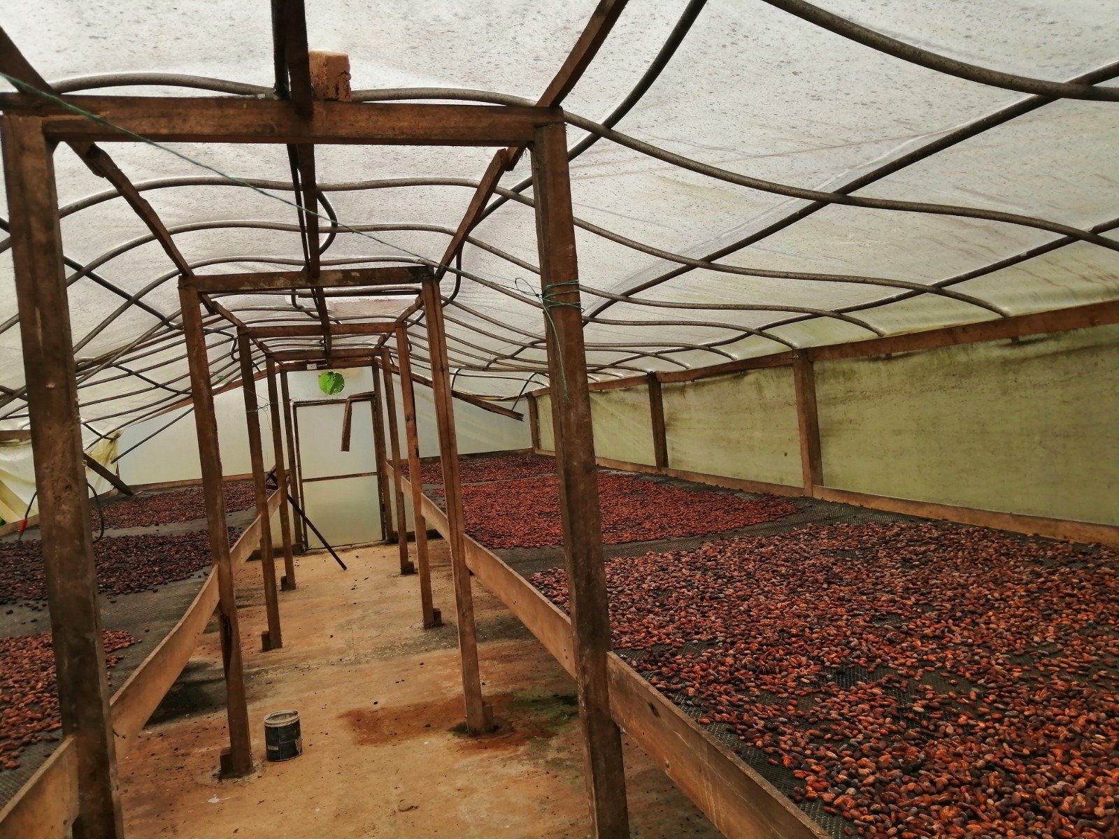 whatsapp image 2026 02 02 at 11.47.37 am