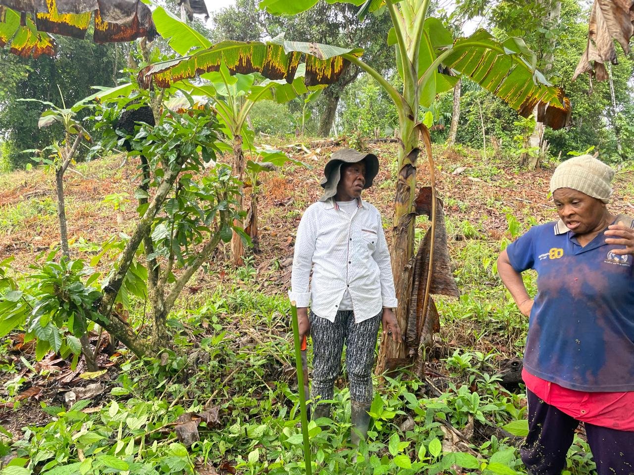 whatsapp image 2026 02 02 at 11.52.55 am