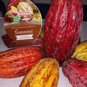 whatsapp image 2026 02 13 at 8.41.17 am