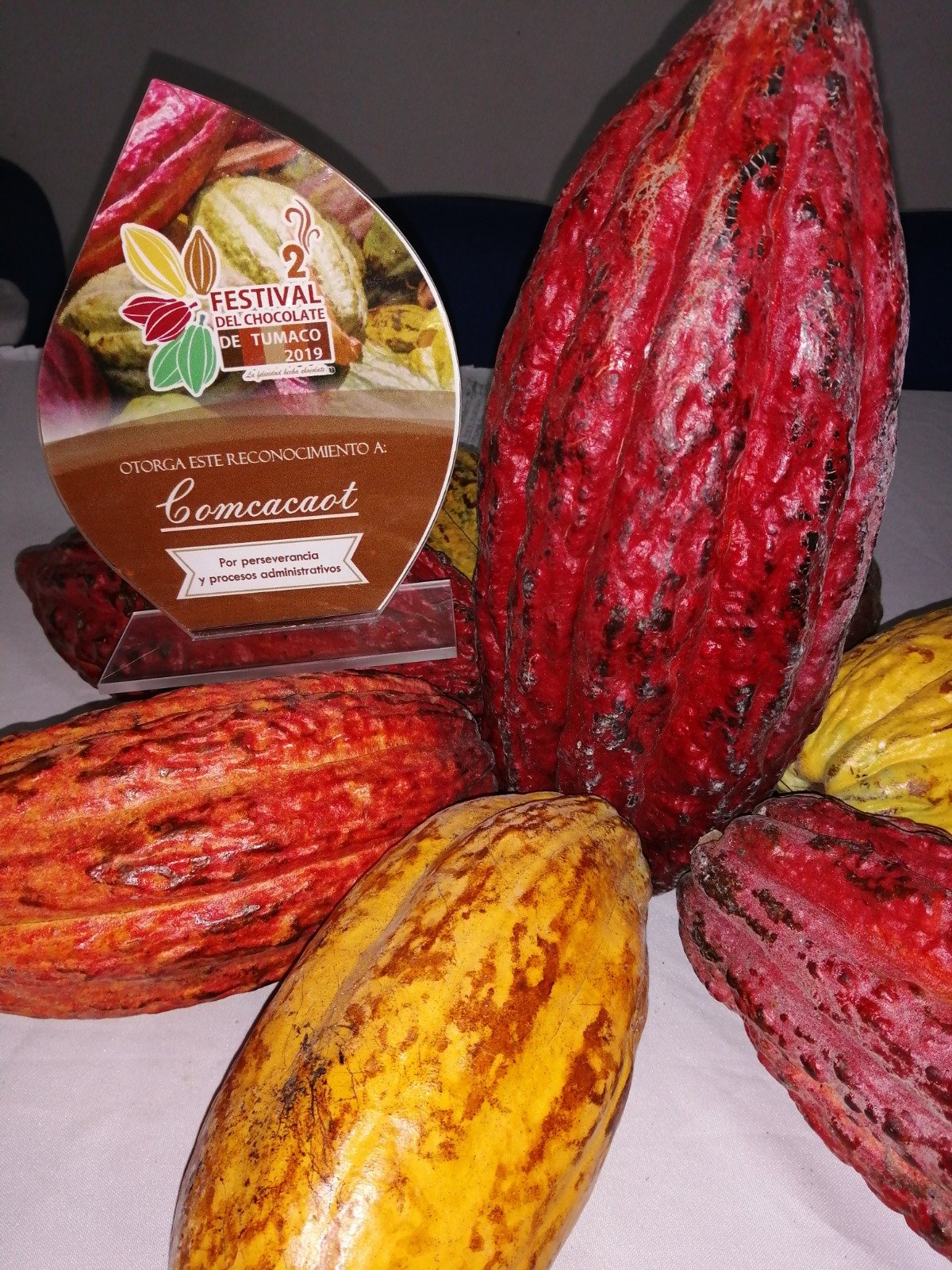 whatsapp image 2026 02 13 at 8.41.17 am whatsapp image 2026 02 13 at 8.41.17 am